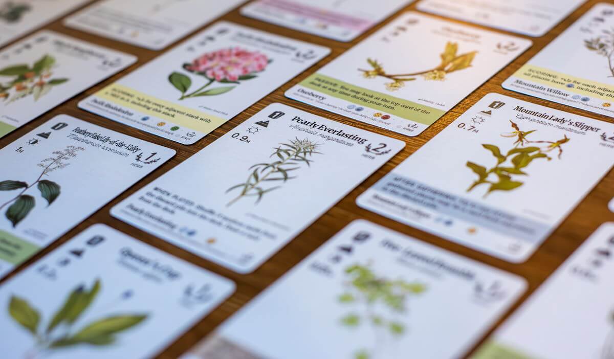 Reforest Old Growth karetní hra strategická lesní