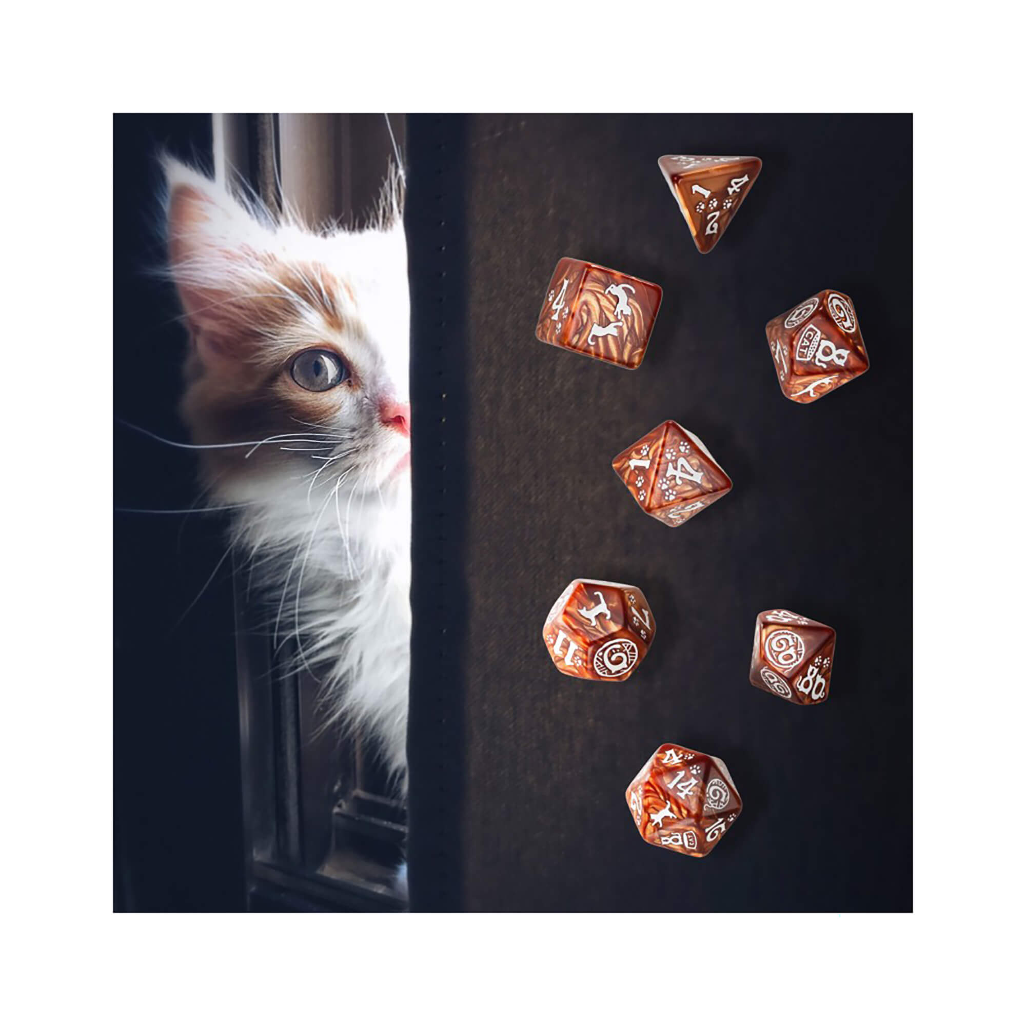 Q Workshop CATS Muffin sada kostek zrzavý kocour