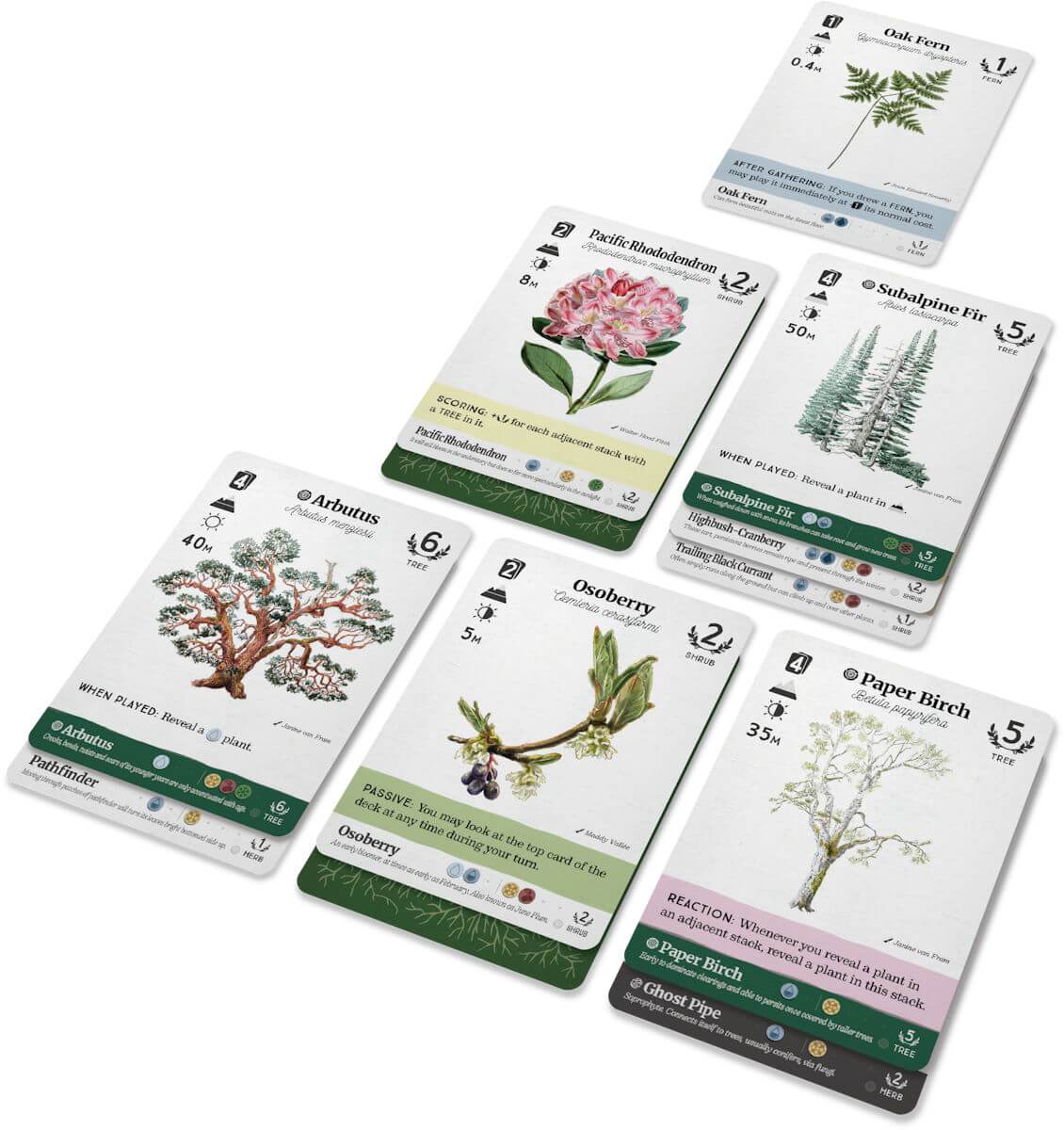Reforest Old Growth karetní hra strategická lesní