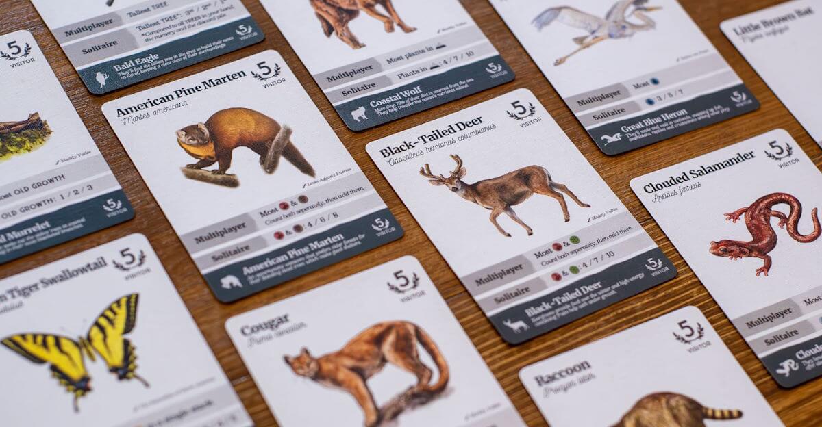Reforest Old Growth karetní hra strategická lesní