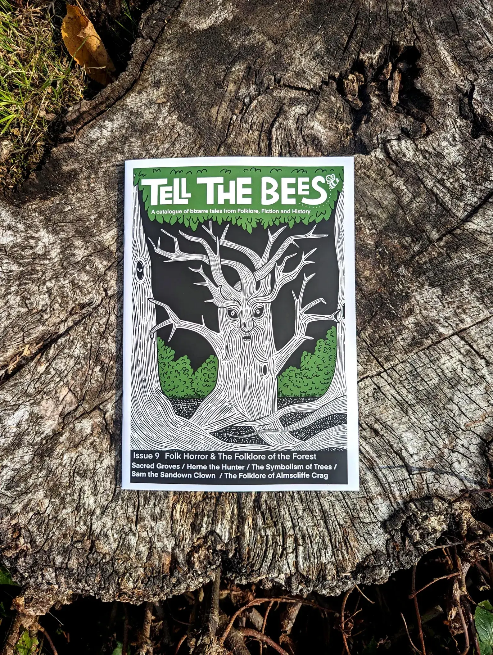Tell the Bees 9 Folk Horror zin A5 32 stran