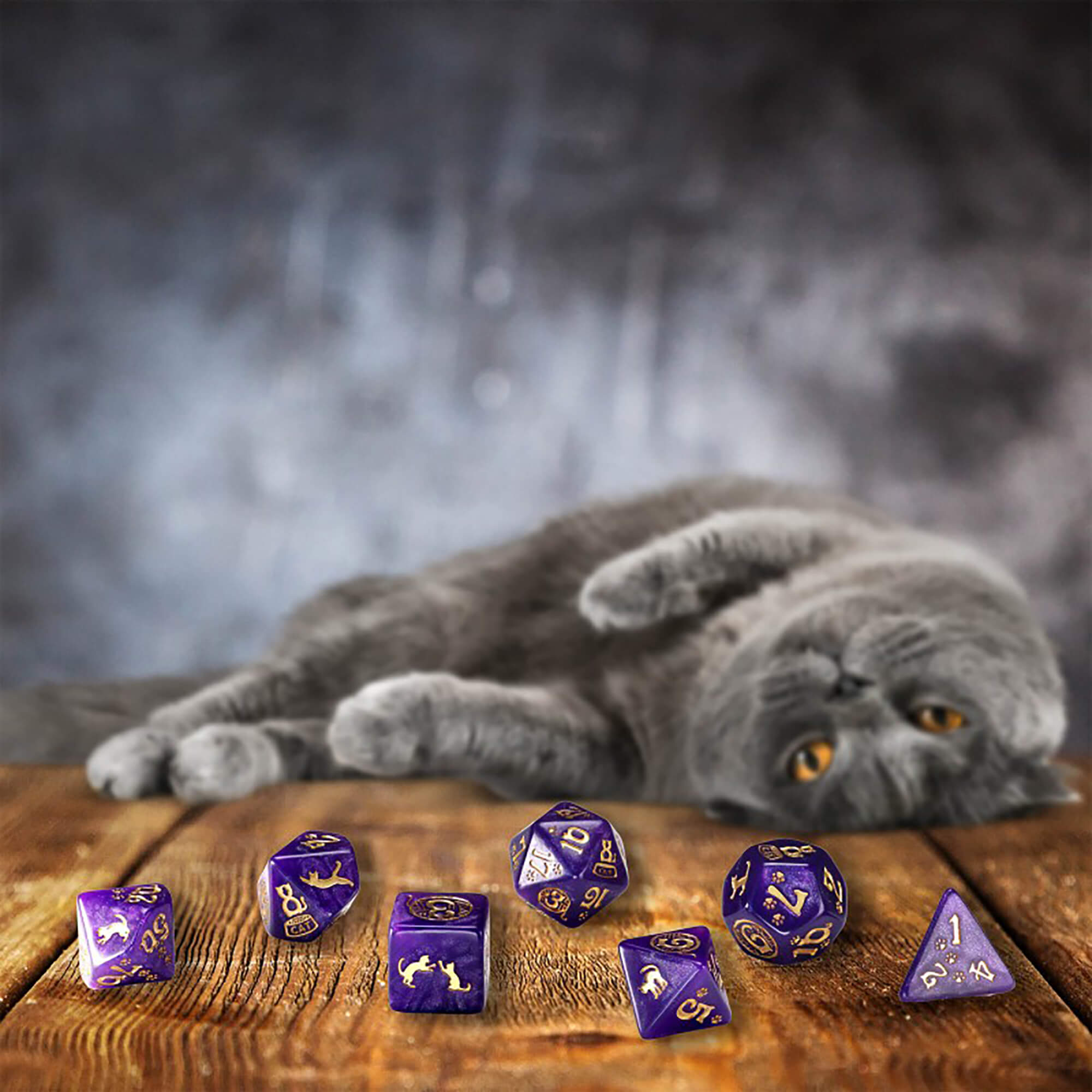 CATS Purrito sada kostek fialová
