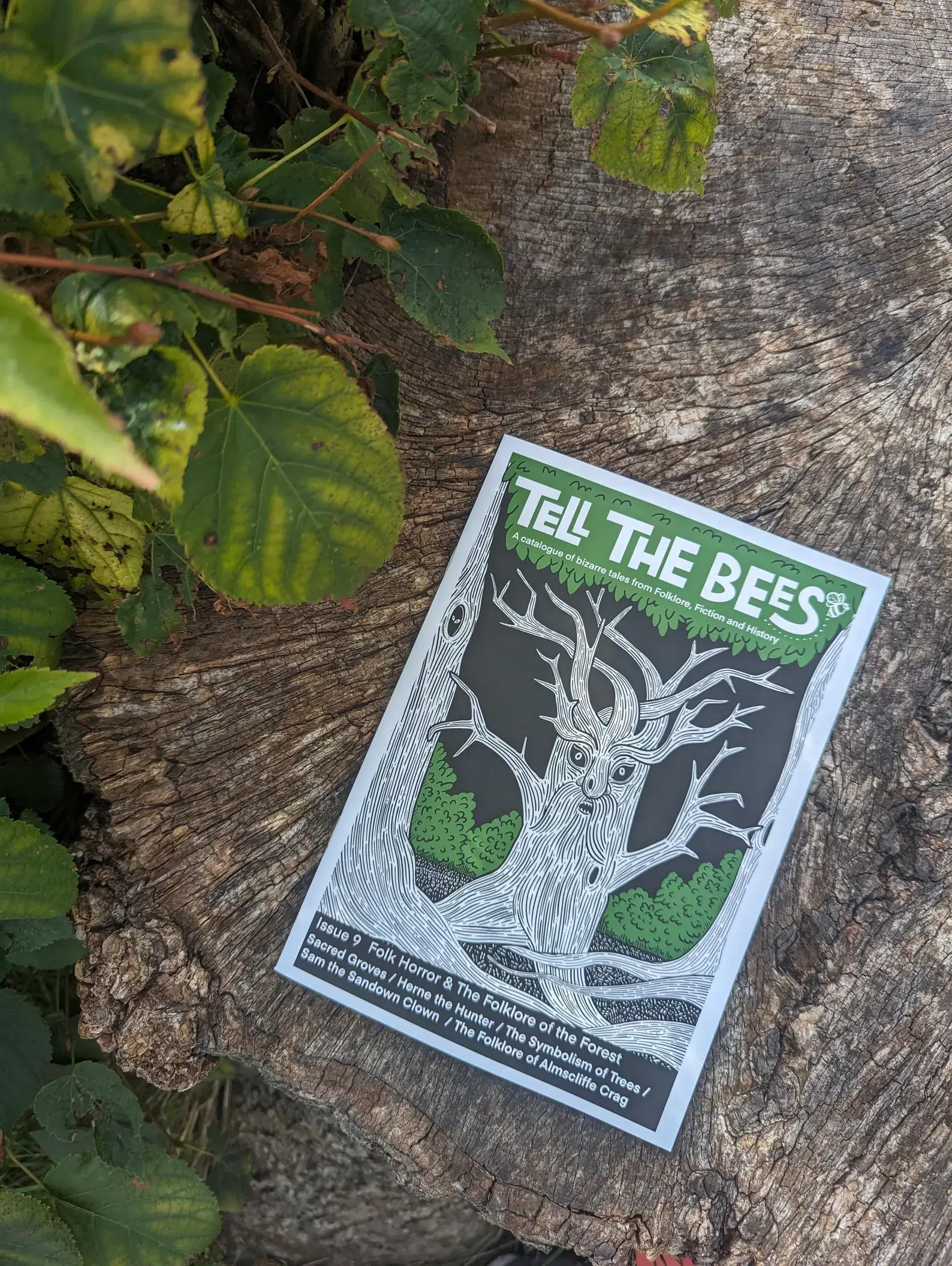 Tell the Bees 9 Folk Horror zin A5 32 stran