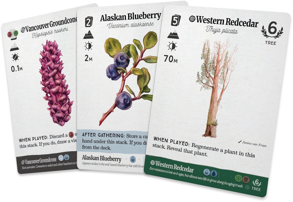 Reforest Old Growth karetní hra strategická lesní