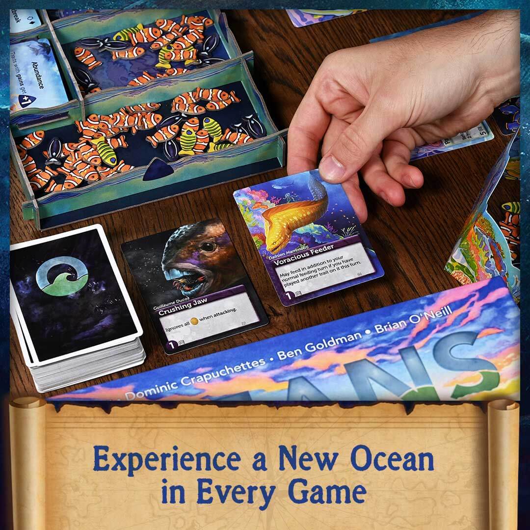 All Rolled Up Oceans desková hra anglická strategická